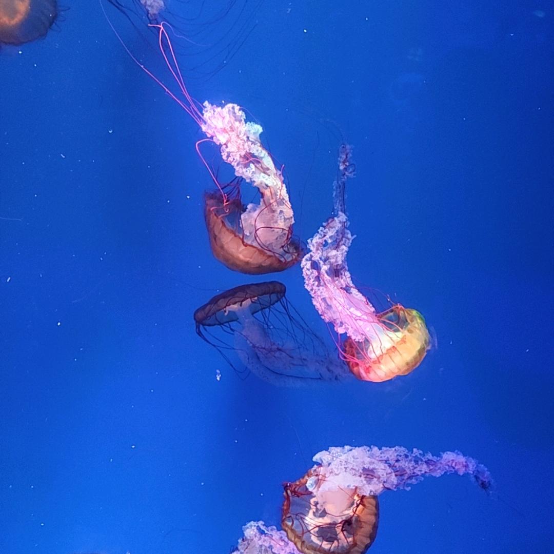 春暖开花
