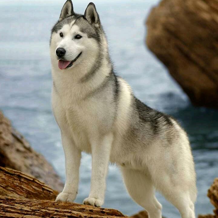 等待