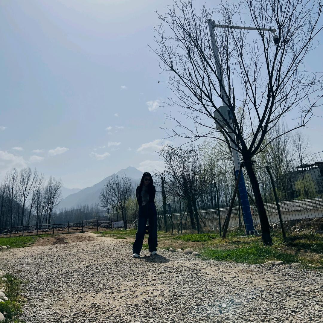 鱼✨✨