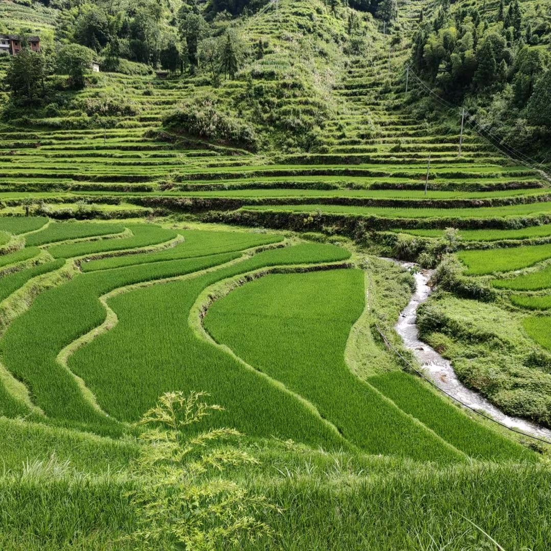 🌈缘聚福，