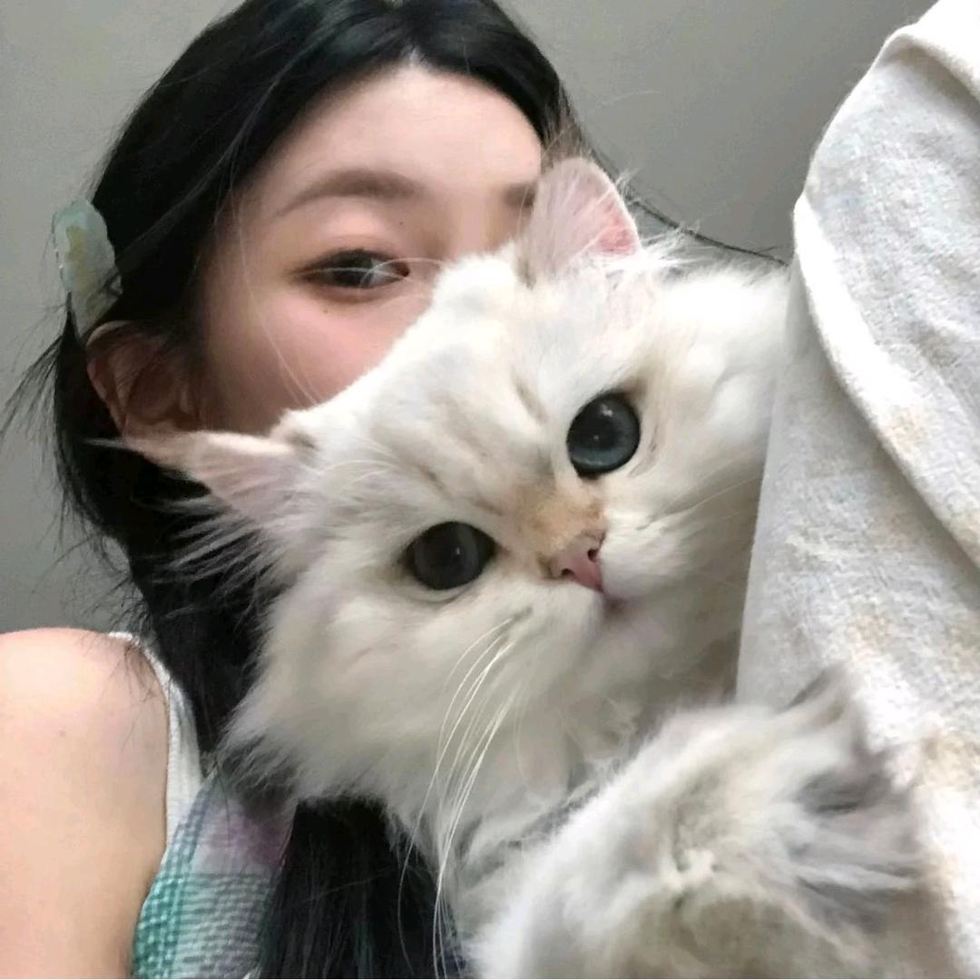 布言布语