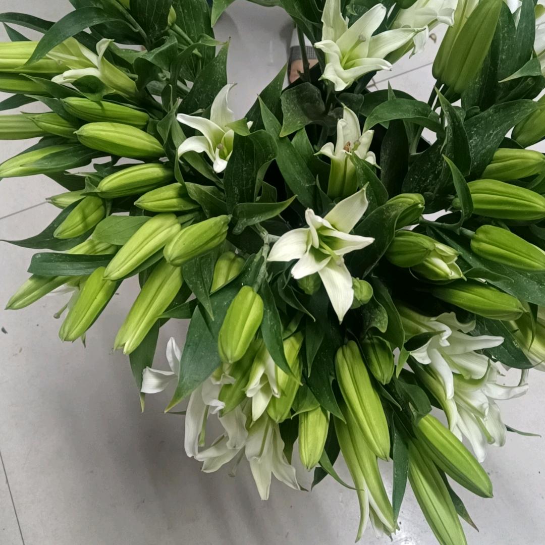 许先森
