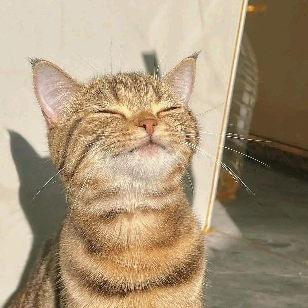 ☁⛵影