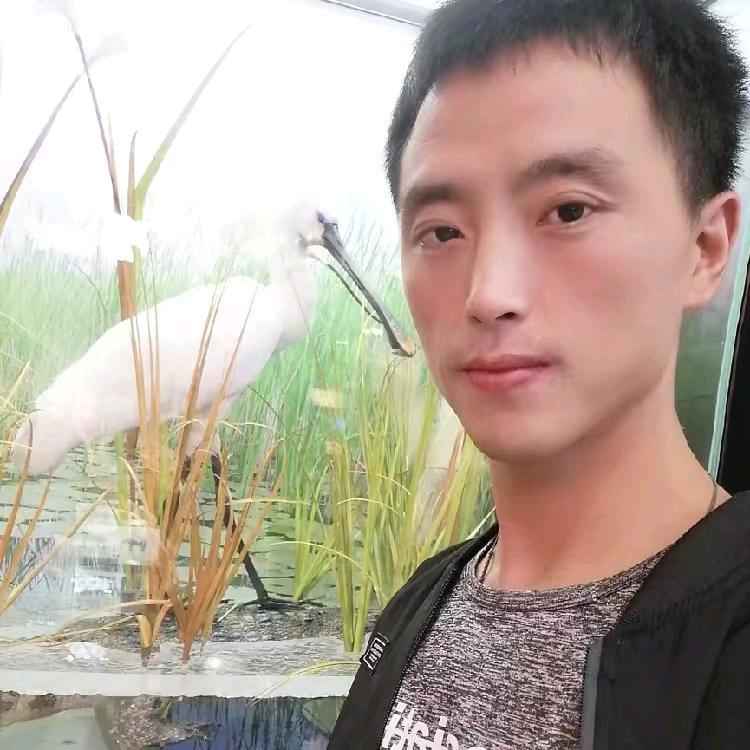 一身正气