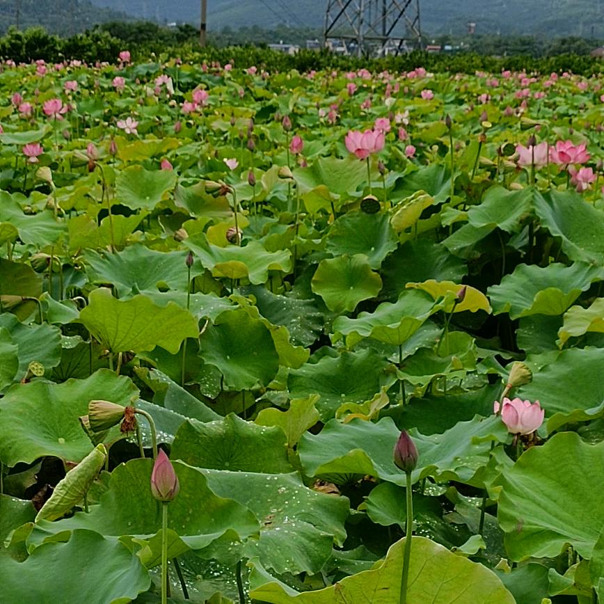 💟💜🟣嗨！哈喽🟣💜💟