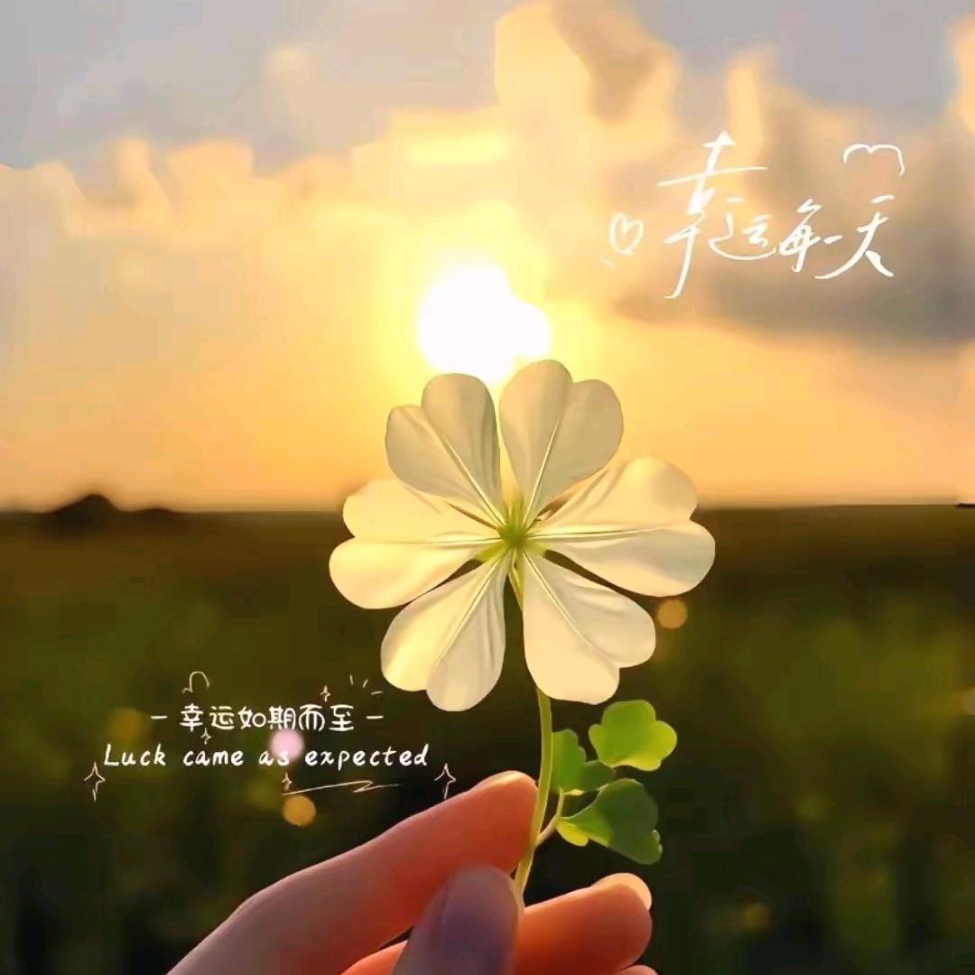 阳阳古法运动