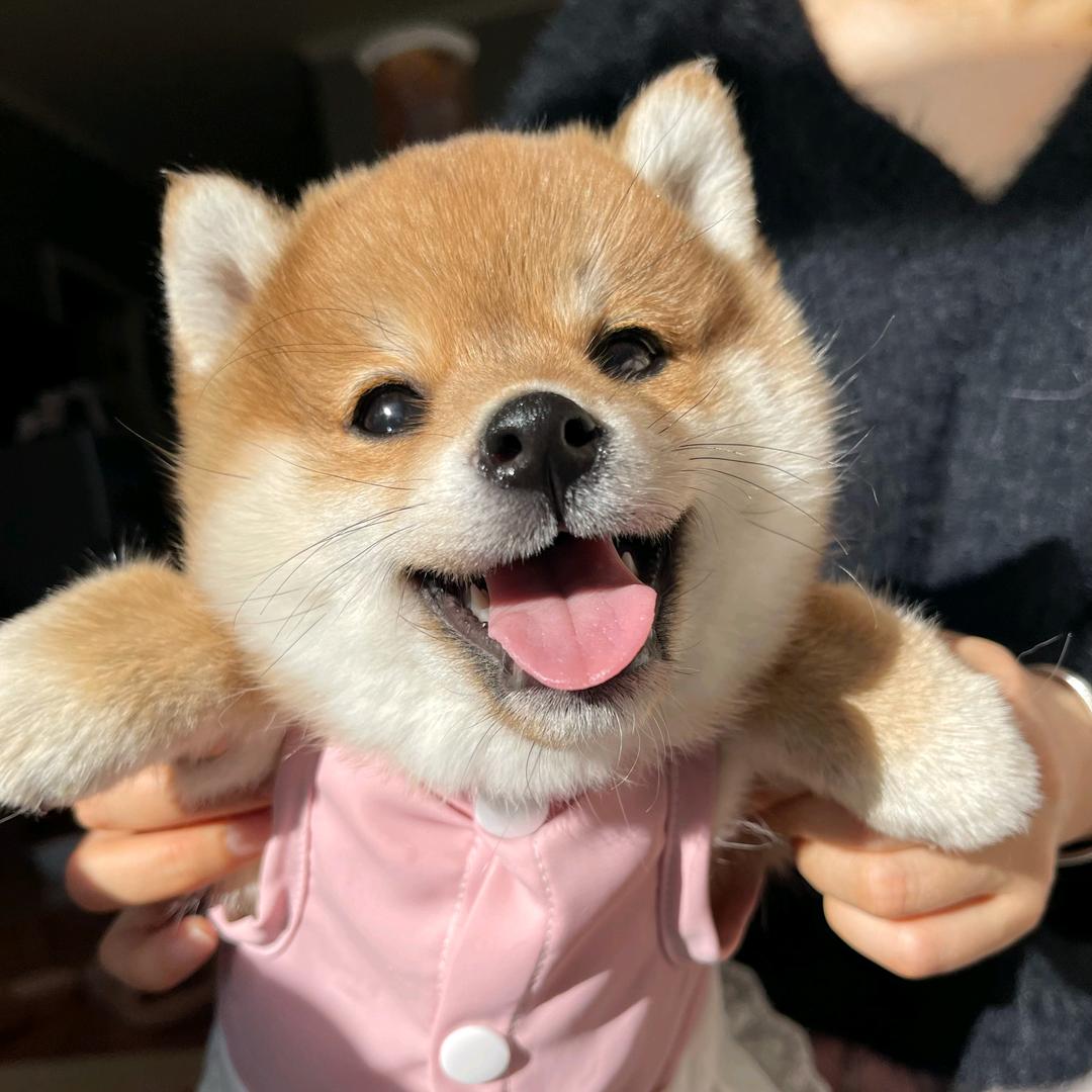 天璇电子库1