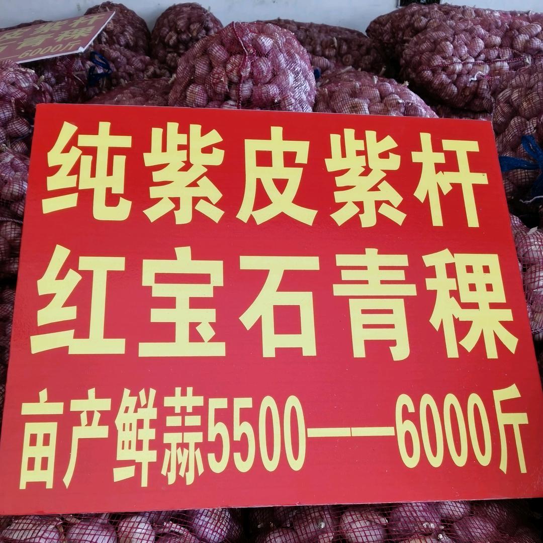 耿集金太阳农资王秀英