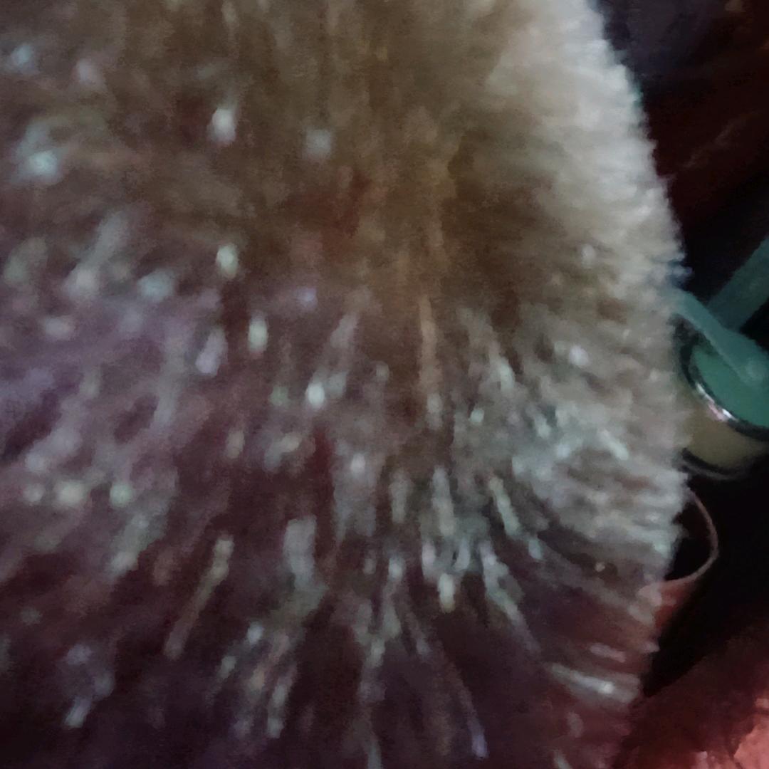 用户7882425685981
