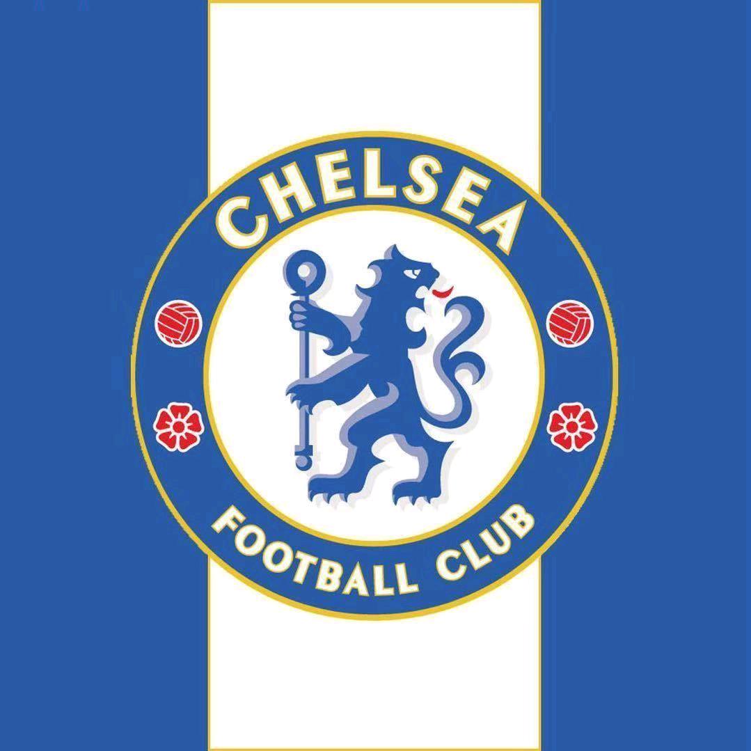 斯坦福桥的风哥