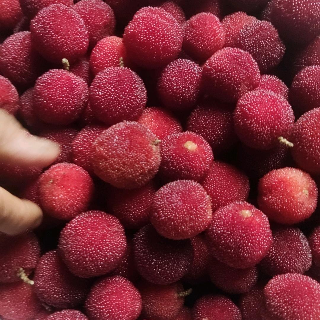 我忘记了你的名字