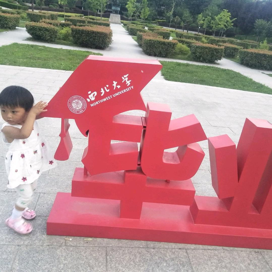 杨哥