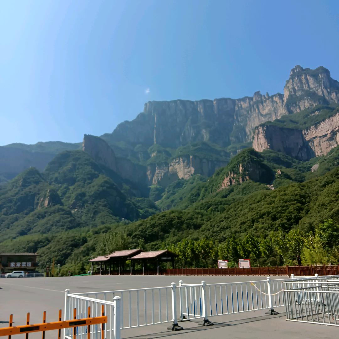 花开无声