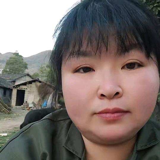 糖亚飞猪肉脯