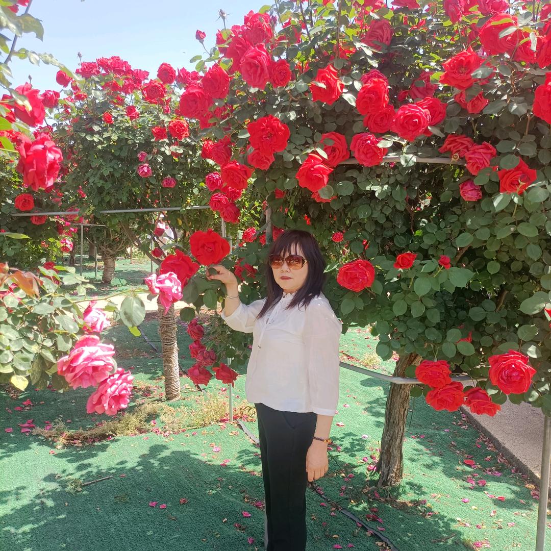 身体健康，万事如意