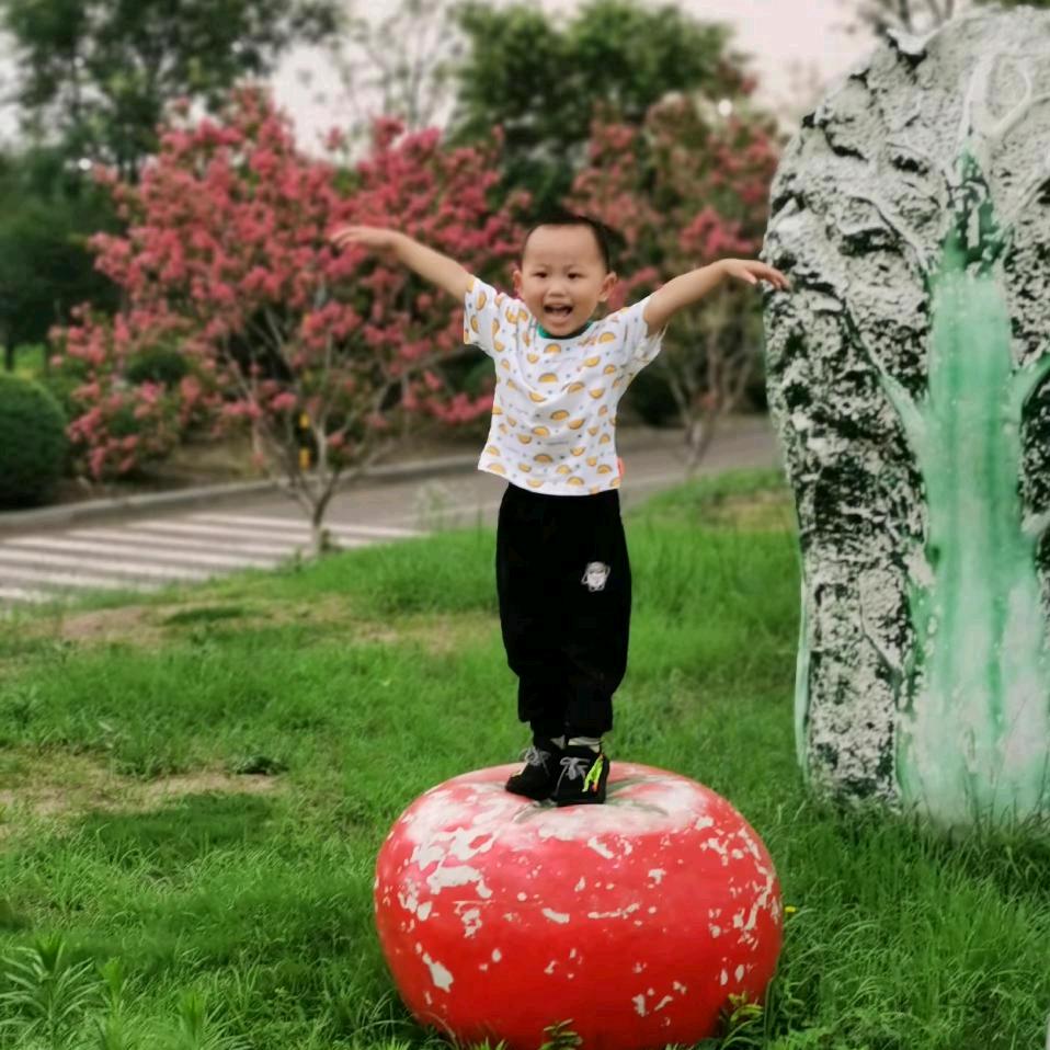 顺哥
