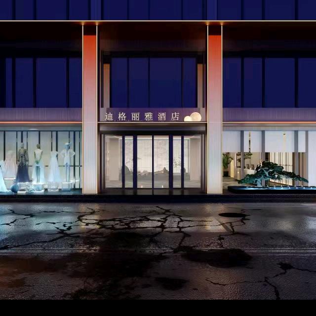 迪格利雅小李