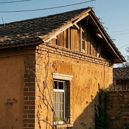 大唐广州云蜜贸易直播号