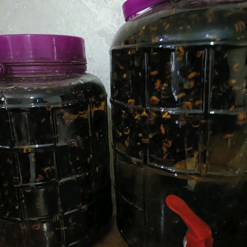 寻马蜂哥小田