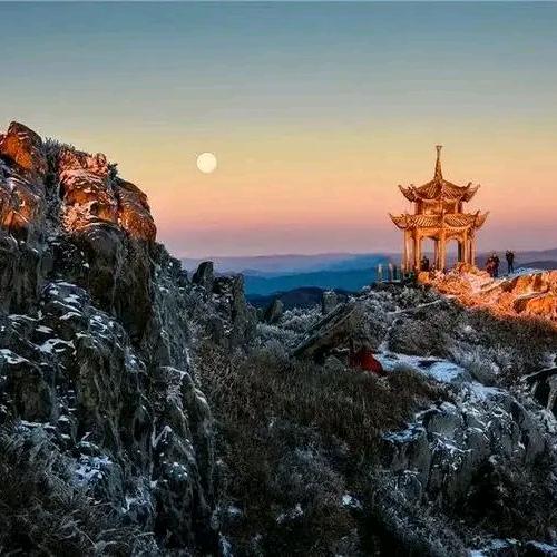 鲜果鲜
