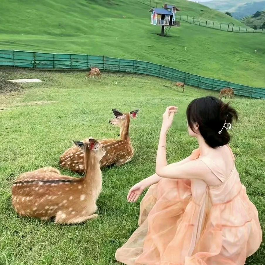 H.甜饼🎀