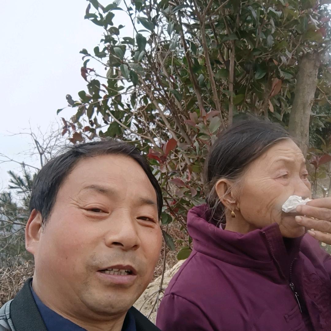 龙哥