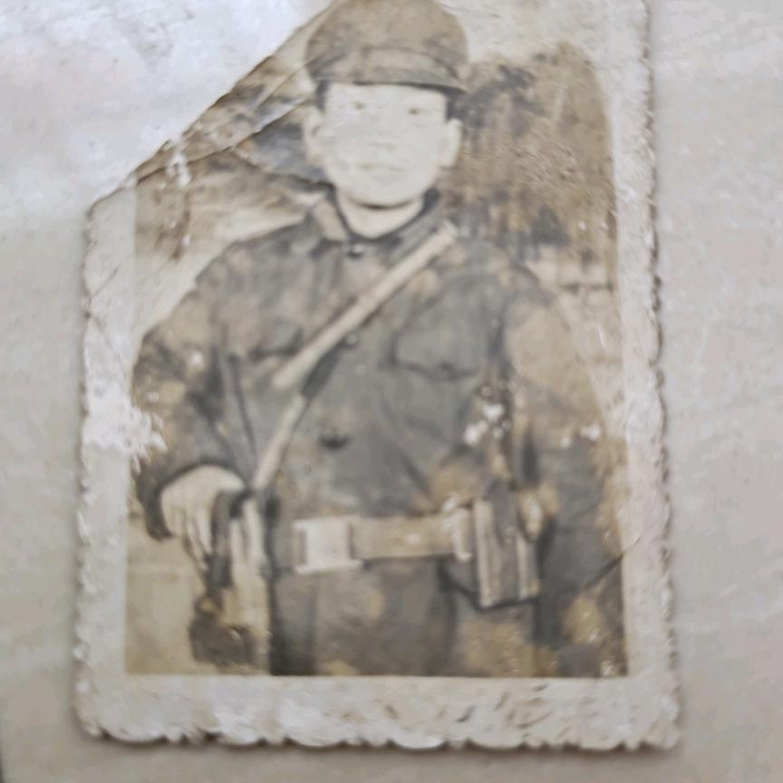 真心换真情