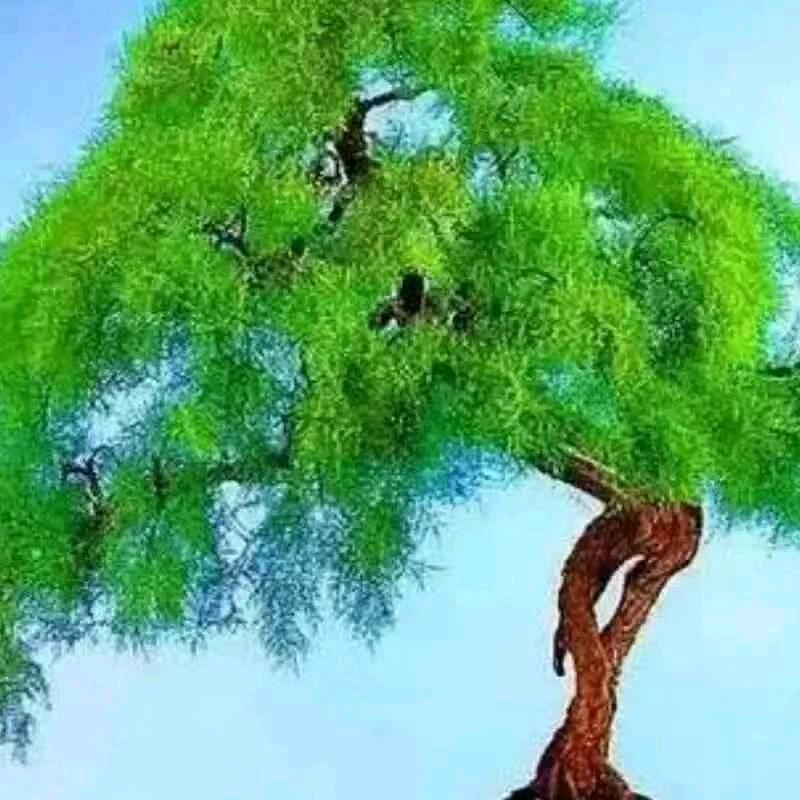 善良人。