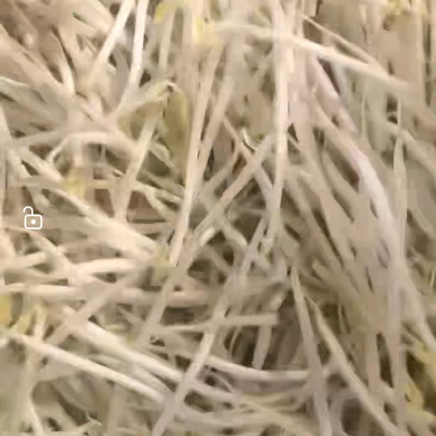 鑫豆农产品