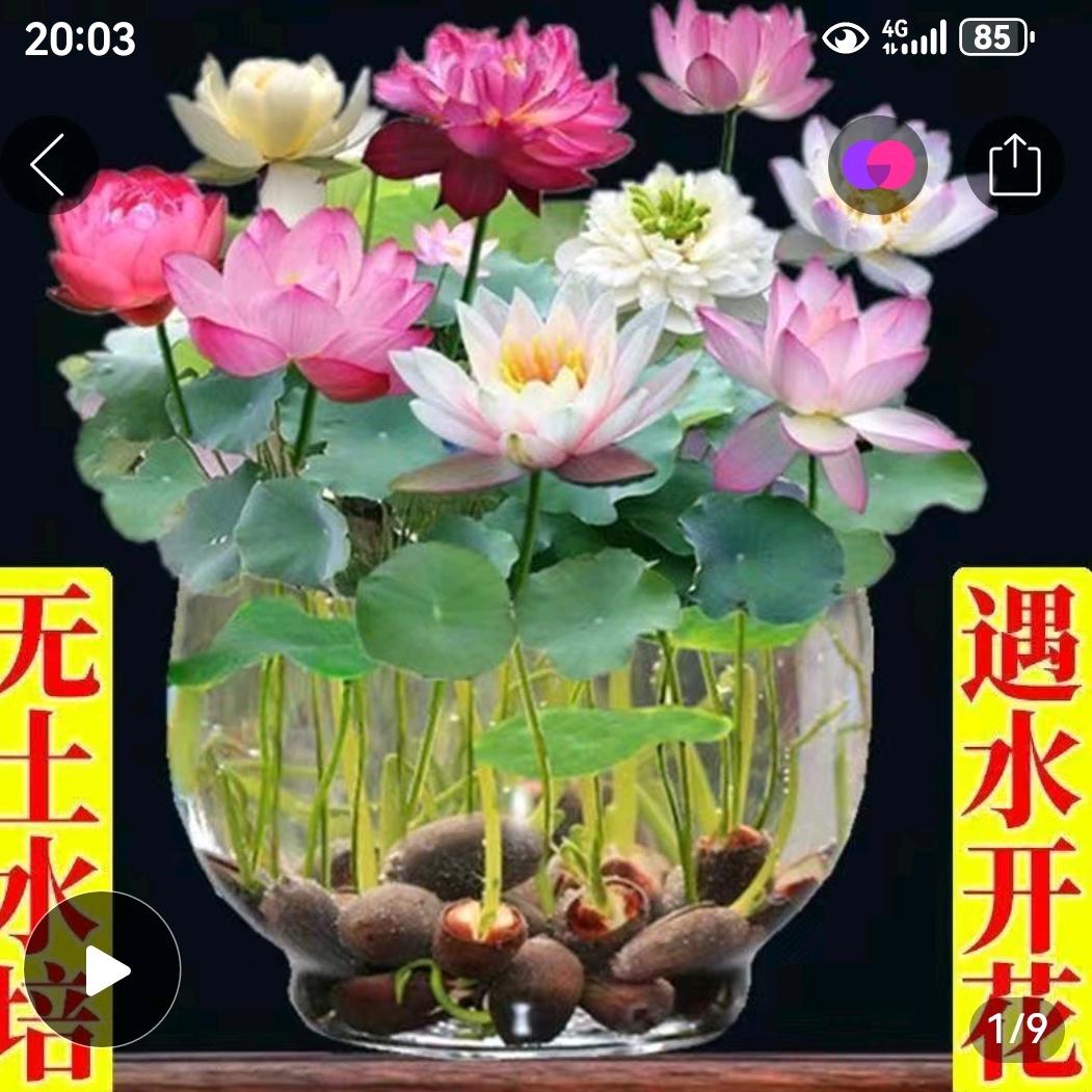 永丰佬
