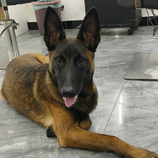 泾县♀雷士灯具-安装维修水电改造