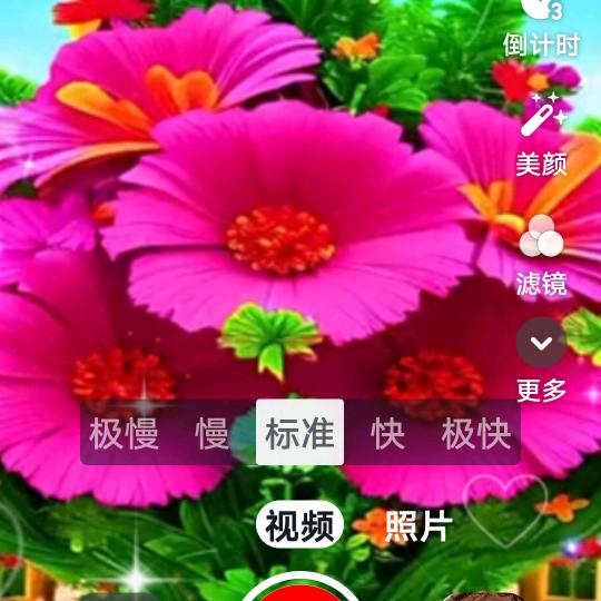 娇艳