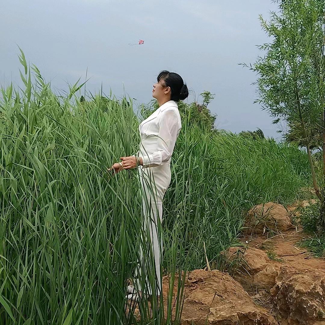 痴情忆梦