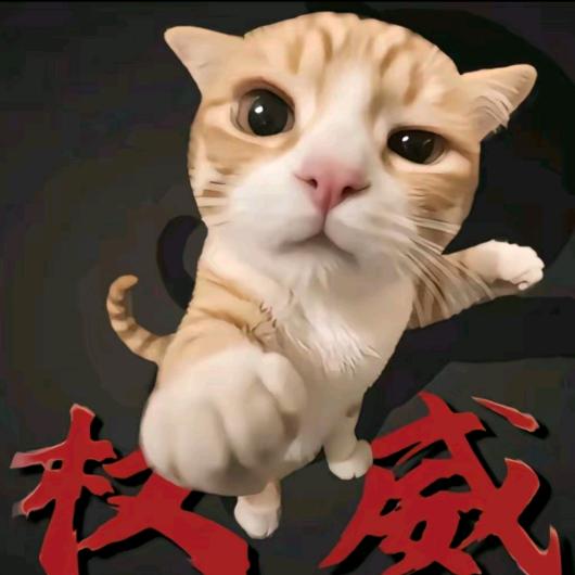曹振华.