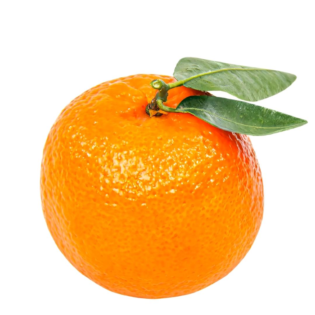 好好学习天天向上