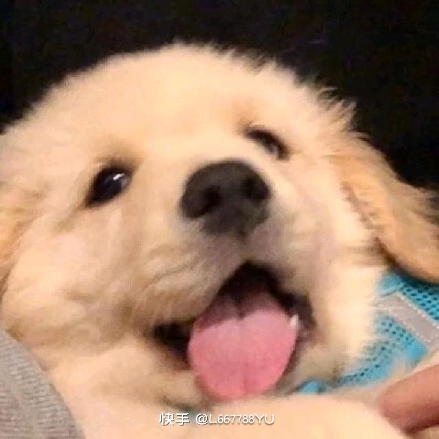 奥特曼打小怪兽