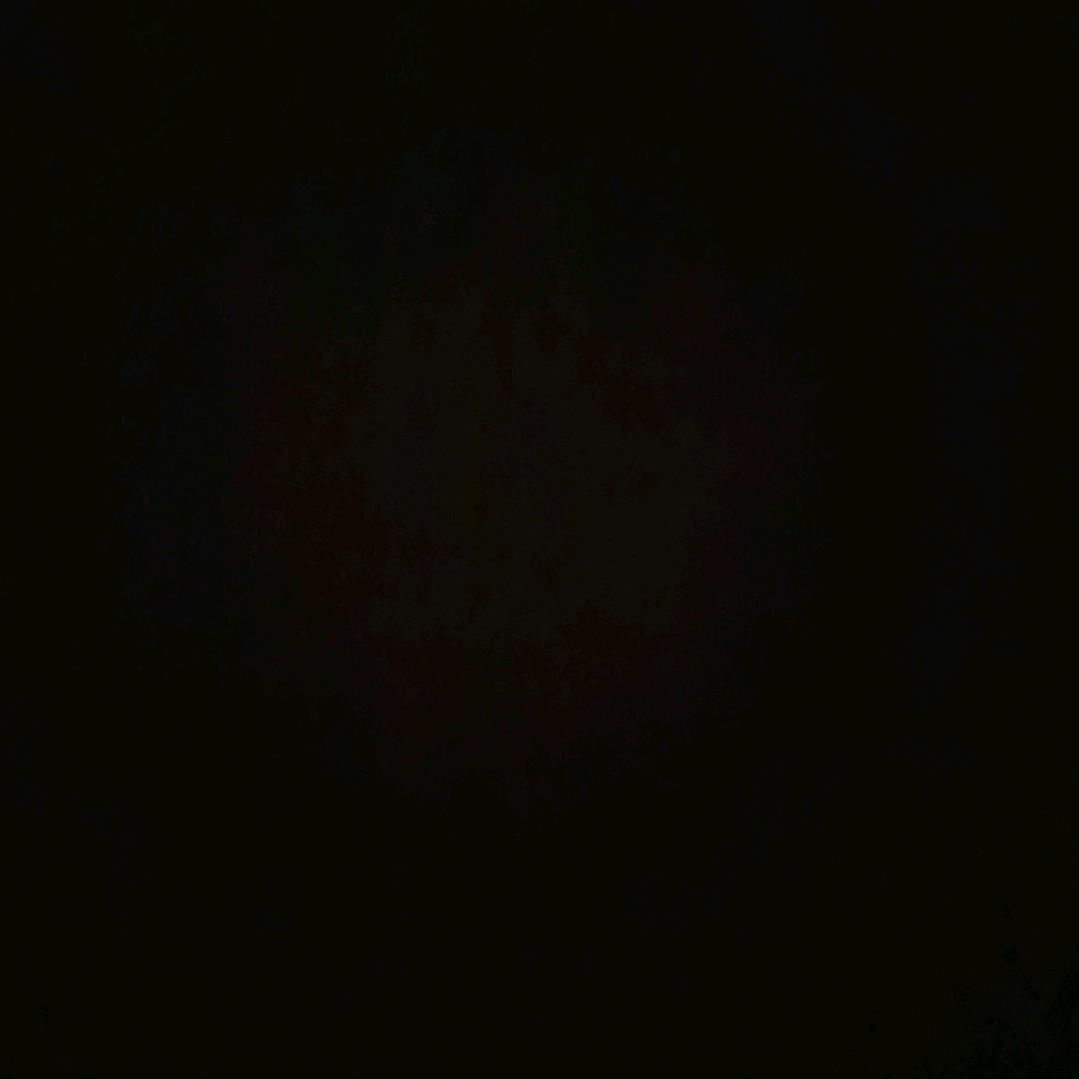 1299