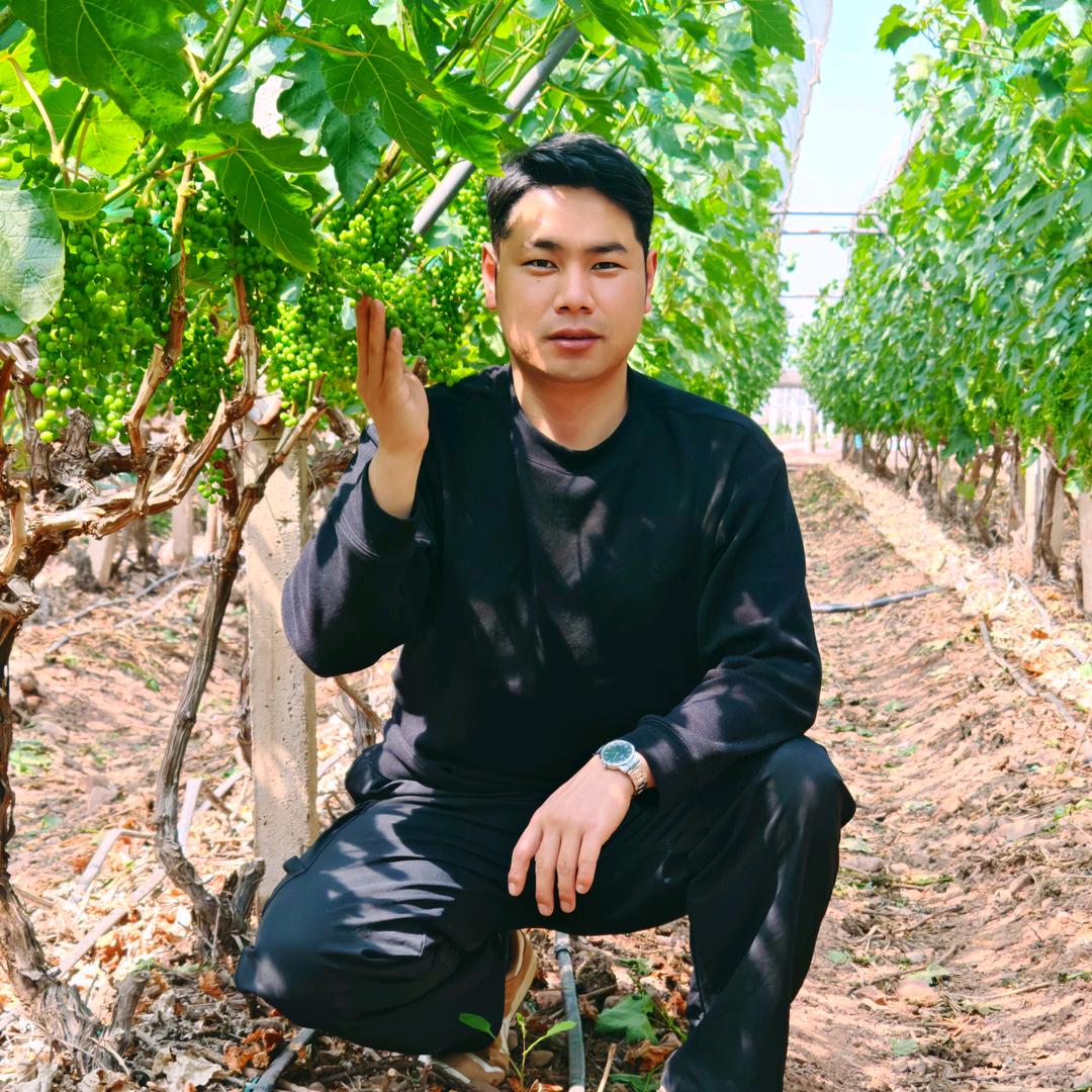 葡萄用肥推荐官李逍遥