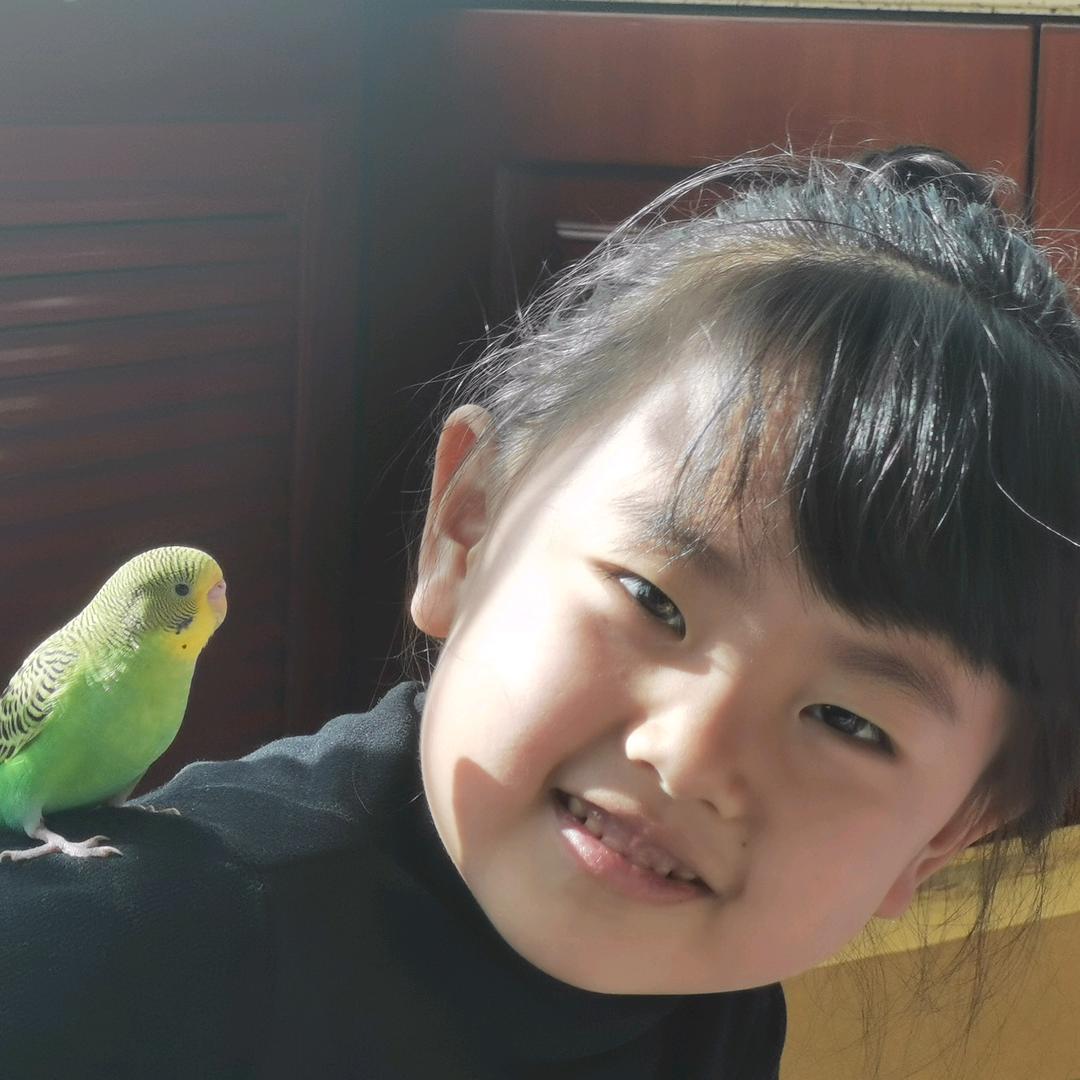 秦家果果