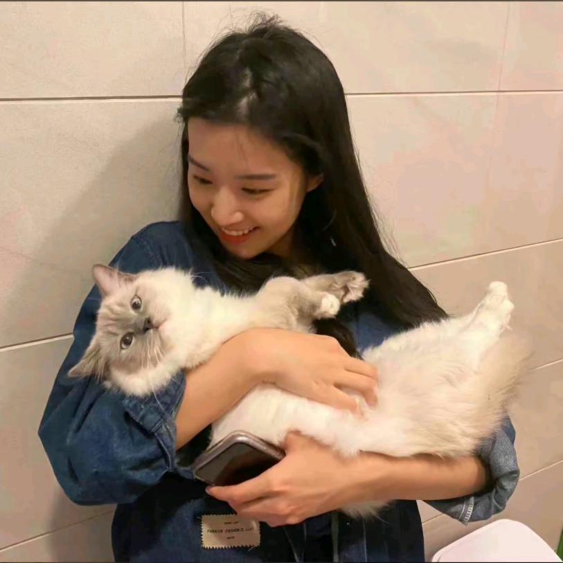 绵羊