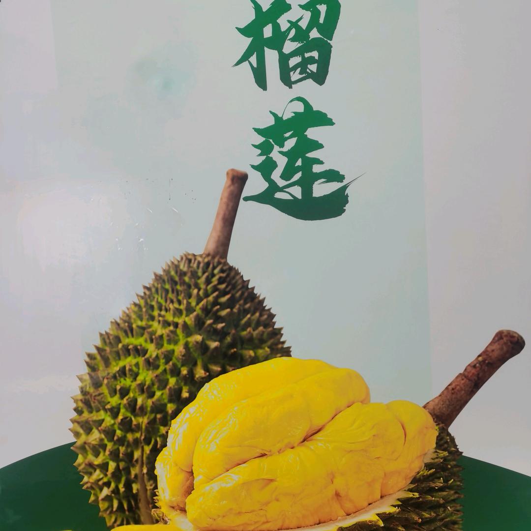马来西亚猫山王榴莲D197