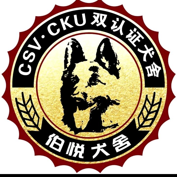 CSV伯悦犬舍