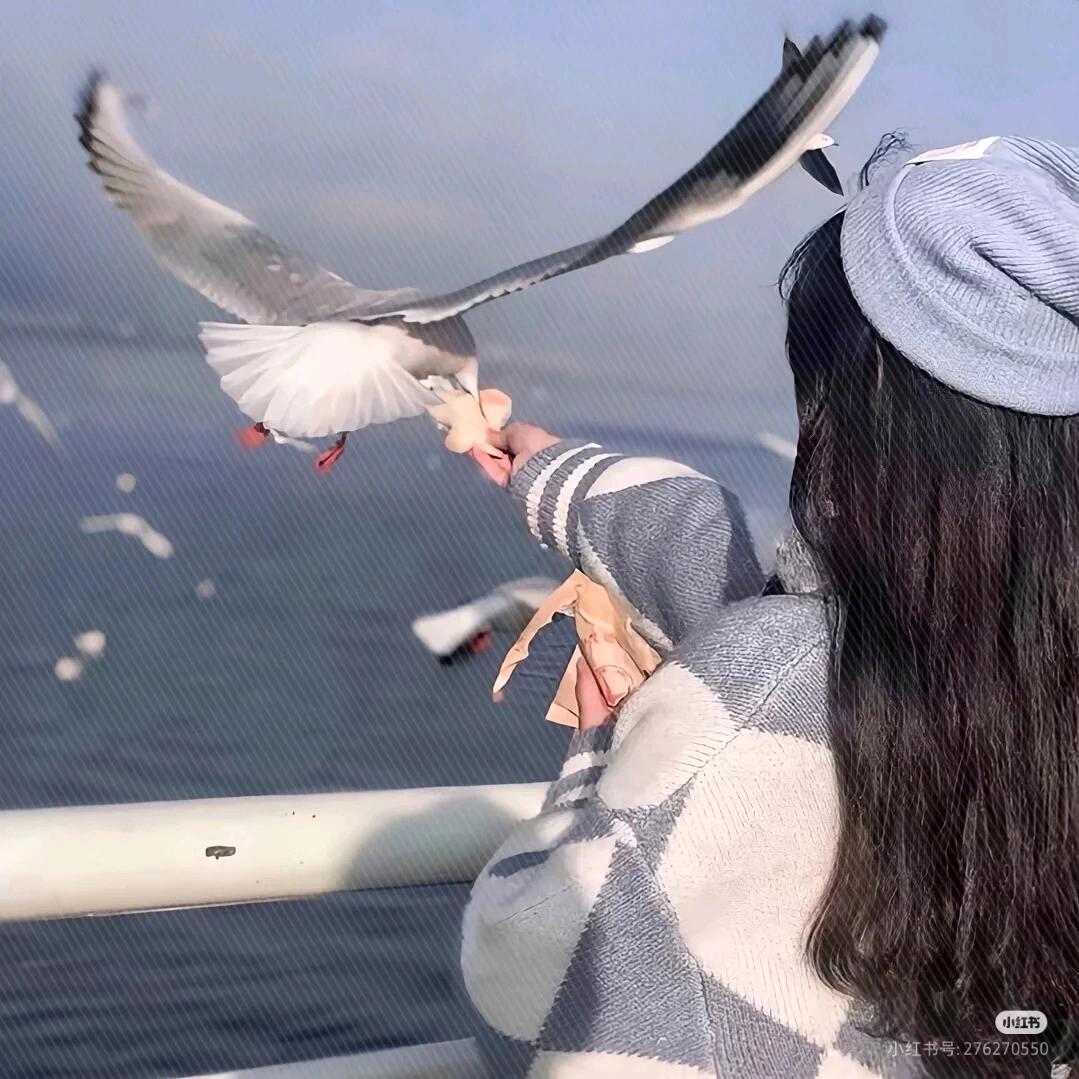 六角