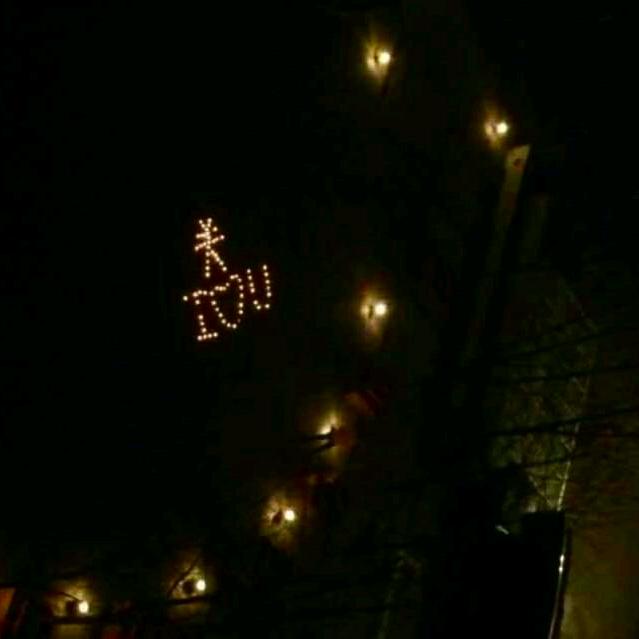 关亚宁大写意花鸟