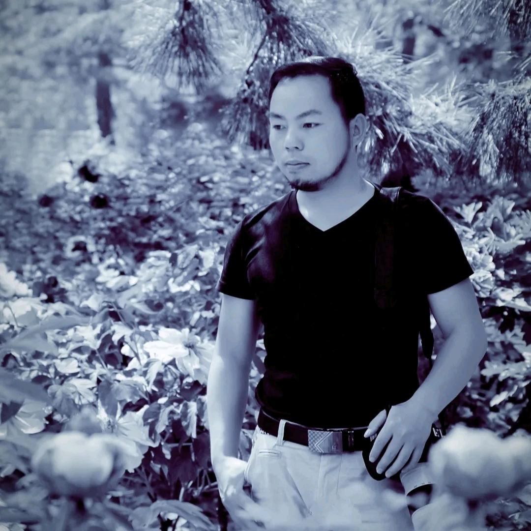 六六爸爸爱画画