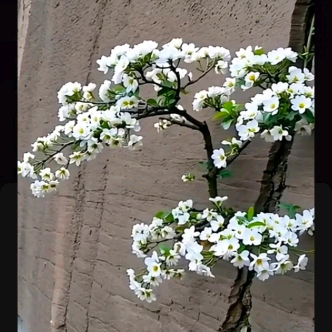 @火焱收铁，念恩