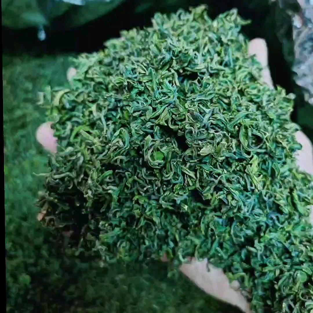 海涛茶庄🐬