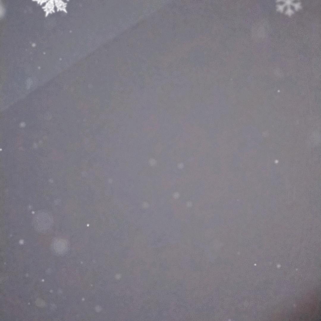 没有机会