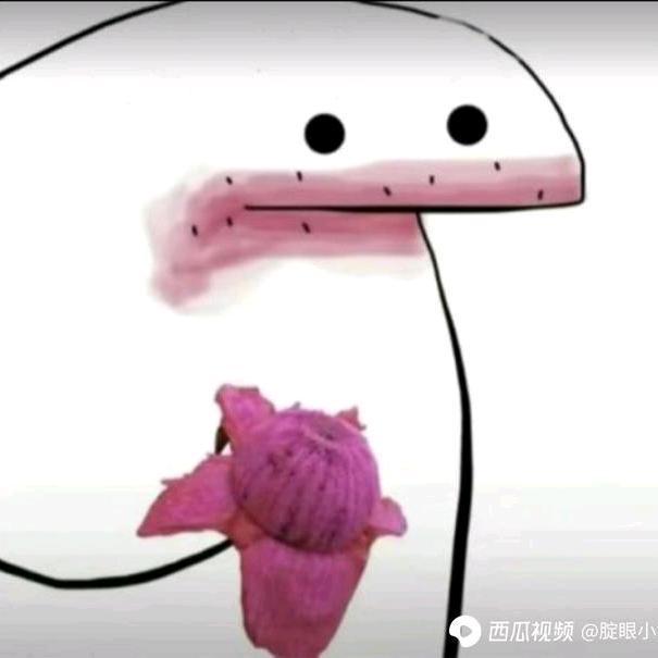 七不七火龙果