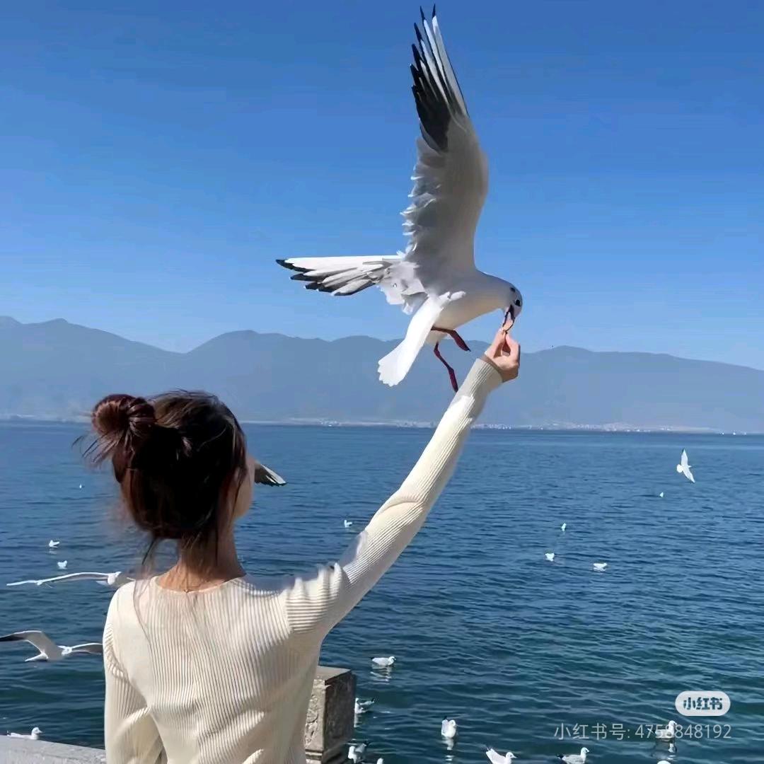 糖果🎈